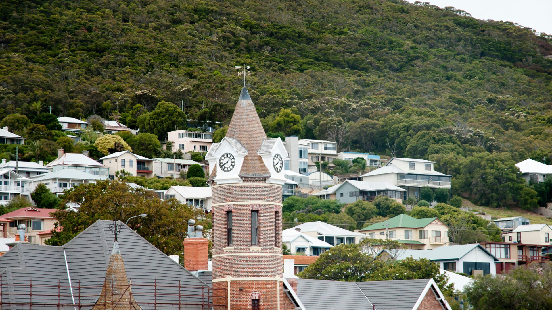 Albany stock image