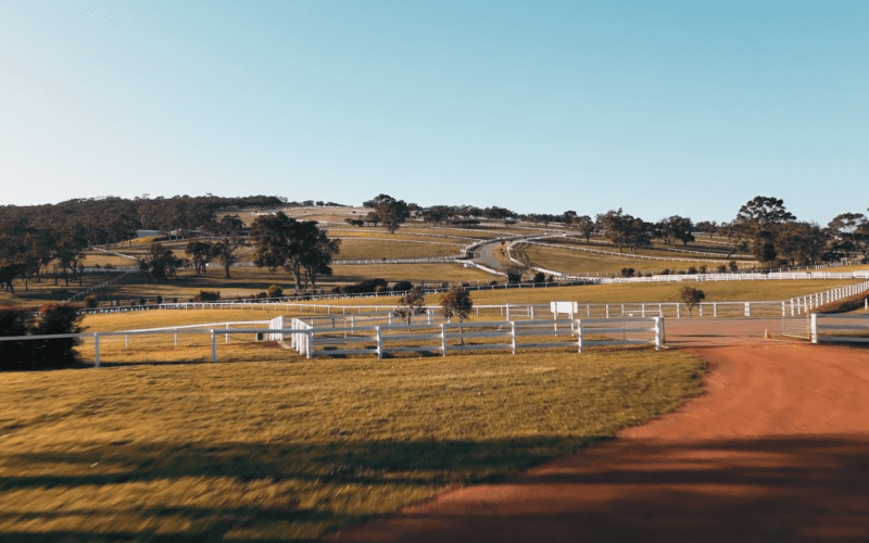 Grandview Estate land release