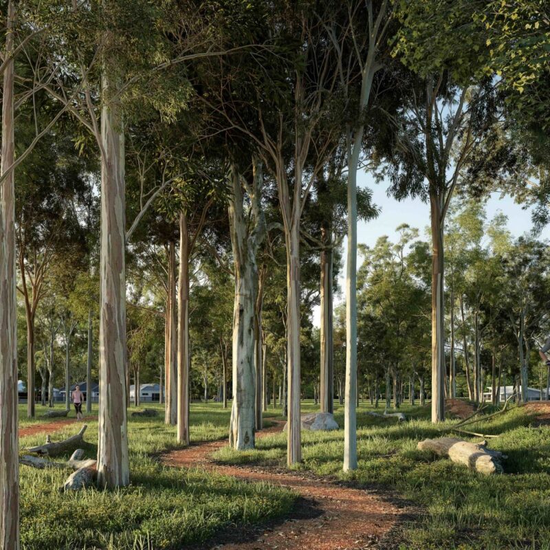 Arbour_Margaret_River_Land_Estate_MTB_Trail-scaled